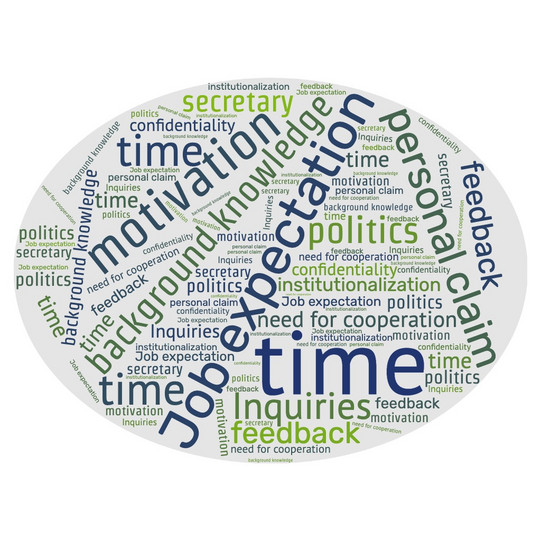 wordcloud, for example: time, job expectation, motivation, personal claim, background knowledge, politics, feedback.